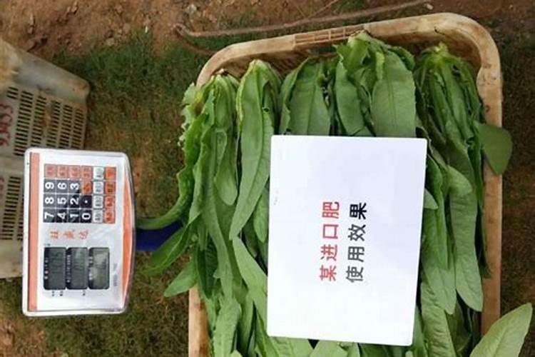 磷酸二氢钾在西瓜的使用方法