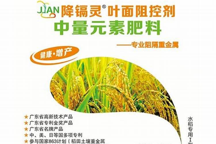 西瓜什么时候施重肥
