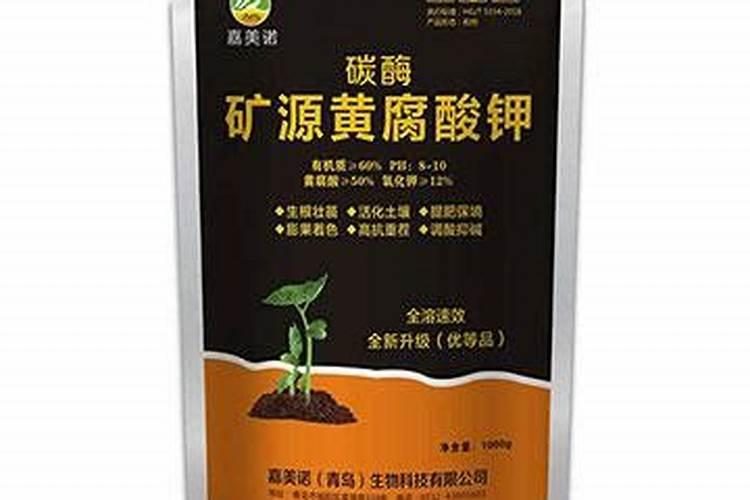 西红柿施什么肥果实膨大快？