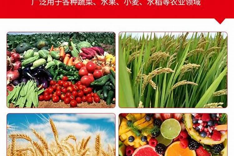 水稻用什么肥料好？