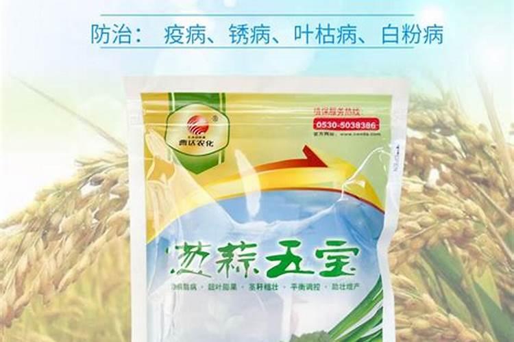 霜霉病用什么药最好