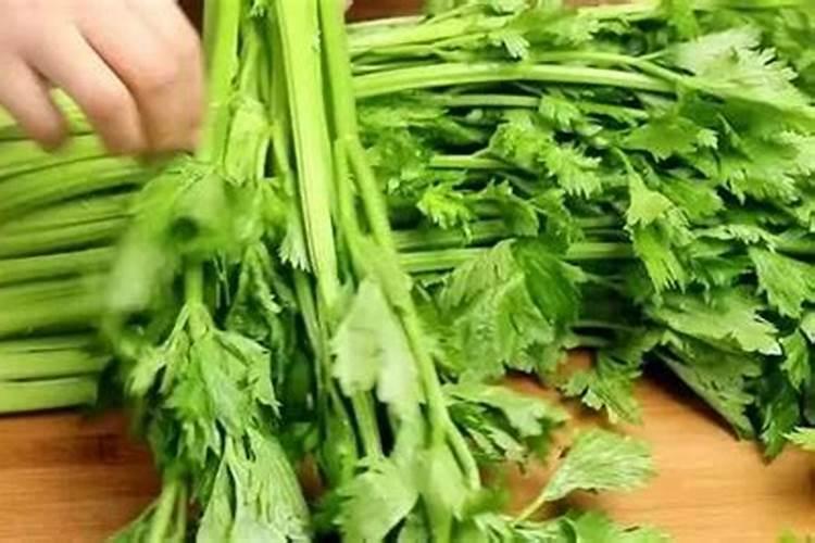 芹菜上什么肥料长得粗