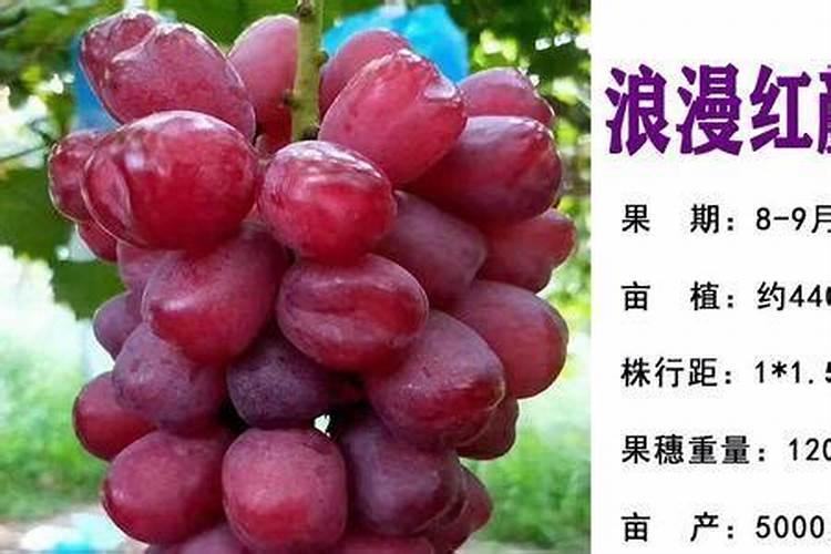 大豆施肥技术,追肥方法,施肥时间