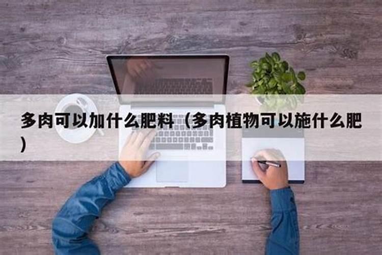 多肉应该浇什么肥料(多肉应该浇什么肥料最好)