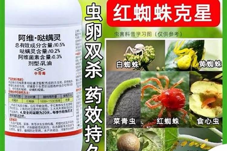 梨锈病打什么农药