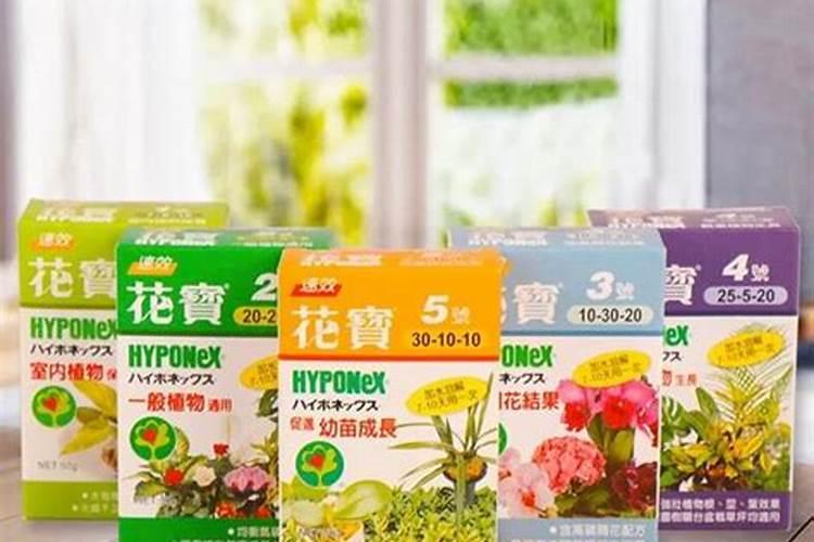 养花必备花肥、常用的花肥有哪些