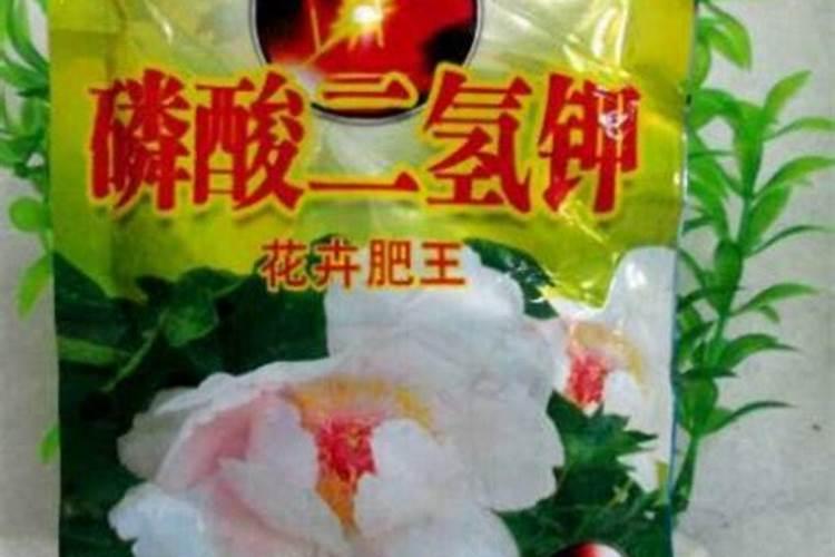 养花常用的肥料有哪些种类 家庭养殖花卉常用的肥料