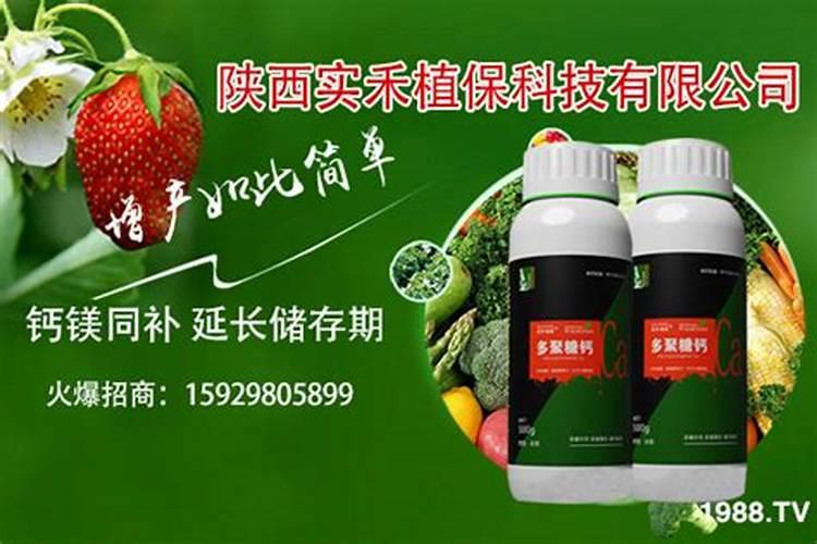 水稻打完锌钾肥后卷叶子怎么办？