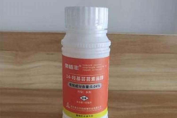 芸苔素内酯作用与功效和使用方法