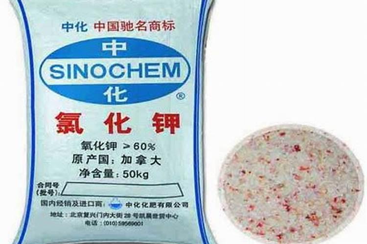 钾盐和钾肥的区别