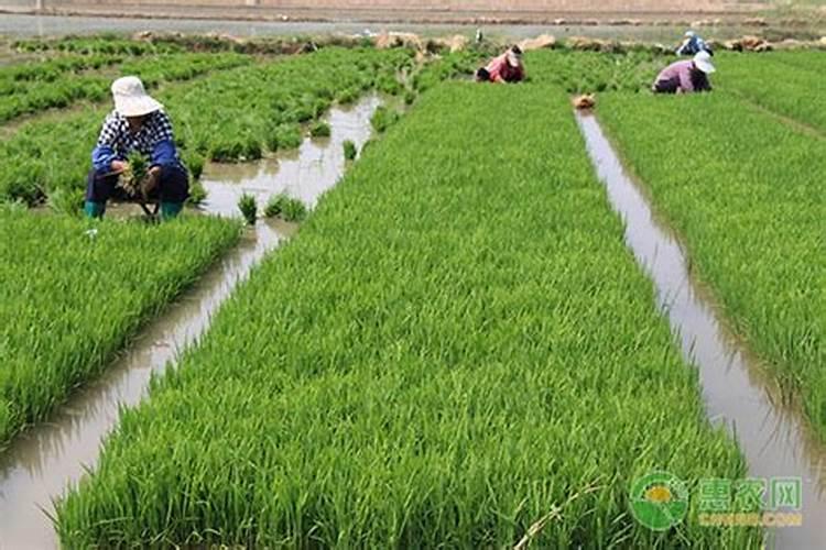 深圳市圣吉尔生物科技有限公司怎么样？