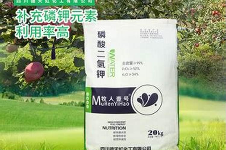柑橘苗叶面肥施药方法