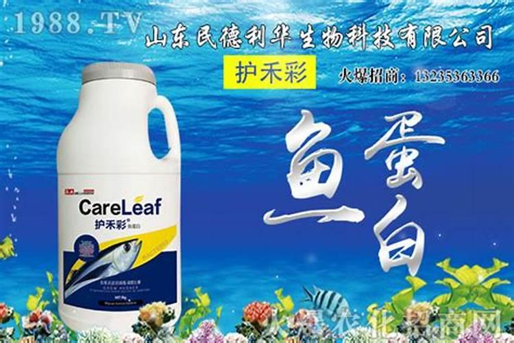 蓝莓需要打什么叶面肥