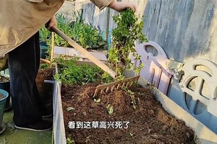 土壤杀菌消毒什么药剂最好