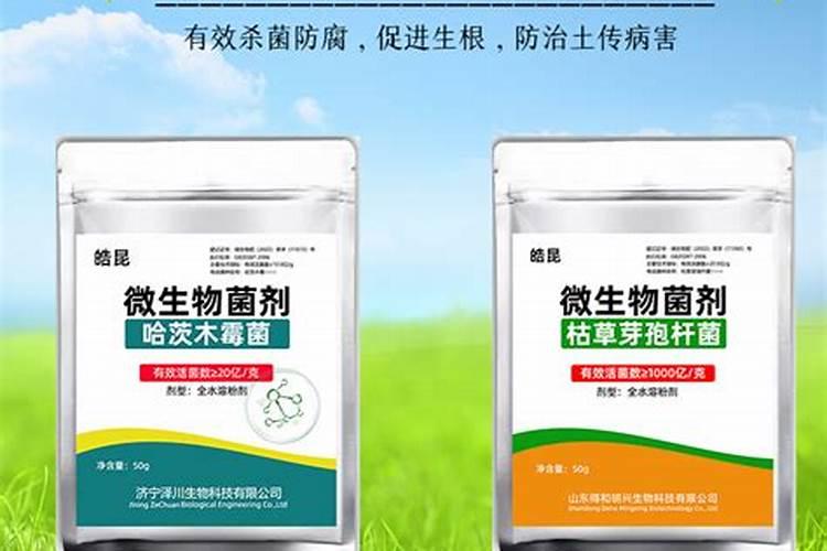 懂得家庭自制肥料的朋友帮我解答