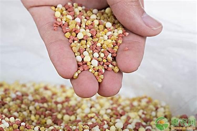 什么时候不能喷芸苔素 什么时候不可以喷芸苔素