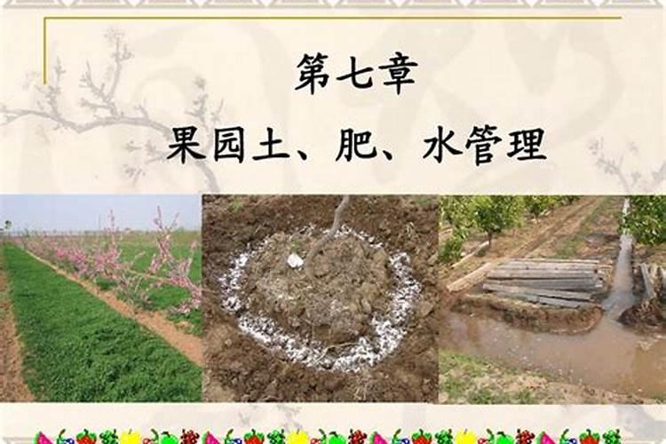 竹子有几种？有什么特点？