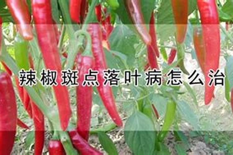 宁夏哪些企业需要用尿素或者硫酸铵？