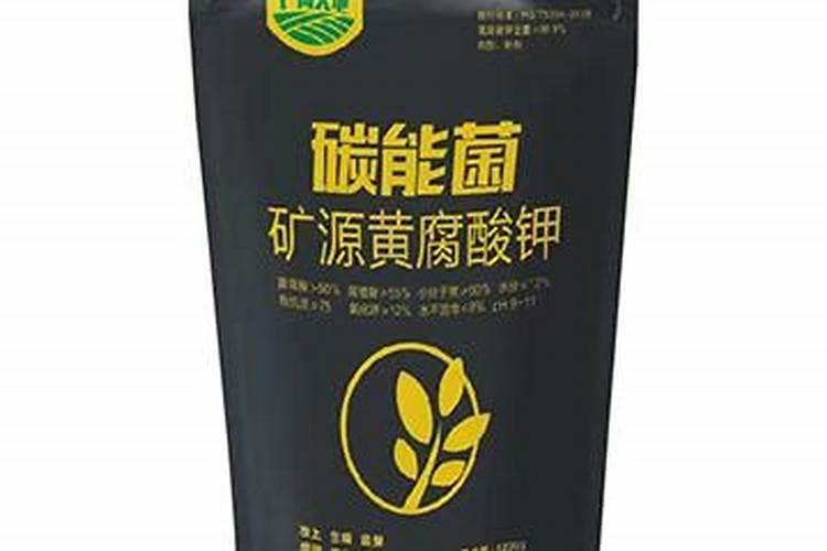 现在是玉米的种苗时期,上什么肥料好呢？