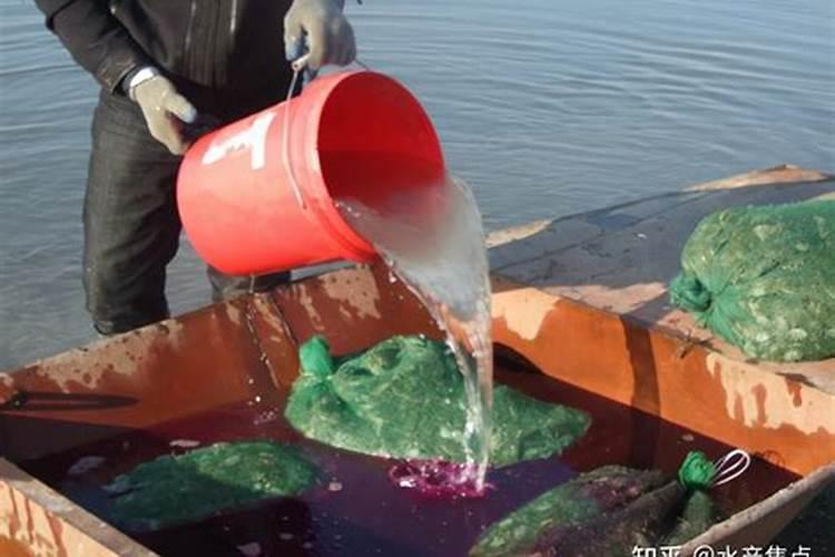 空心菜卷叶用什么药