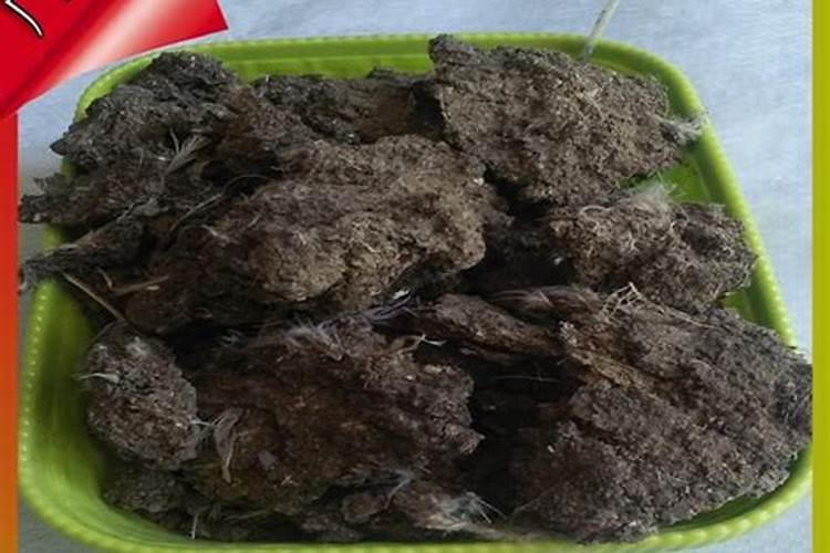 多肽有机氮肥哪种品牌好