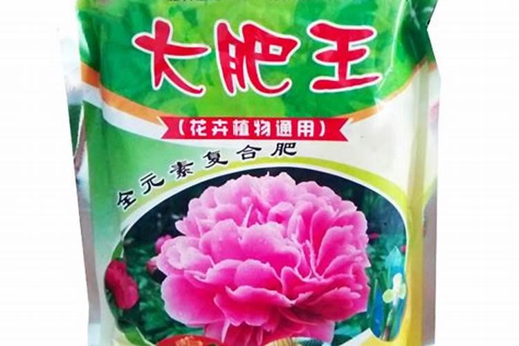 大肥王是什么肥料