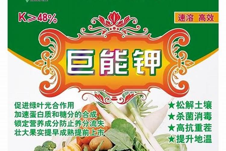 铁锌氨基酸植物饮料是饮料吗