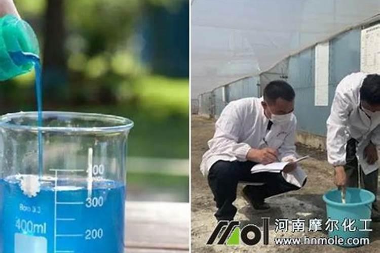 桃树苗应该怎么种植 桃树怎么浇水