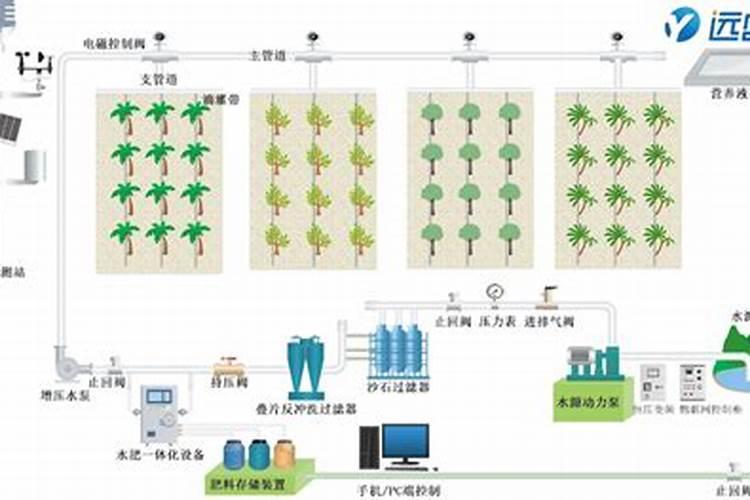 菜籽饼如何发酵成水溶肥料
