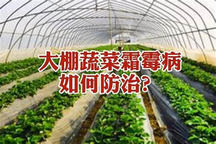 火龙果怎样施肥才会结果多？