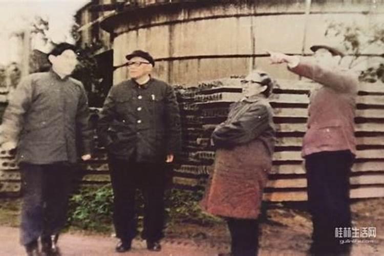 广西哪里有盆桔种植基地？