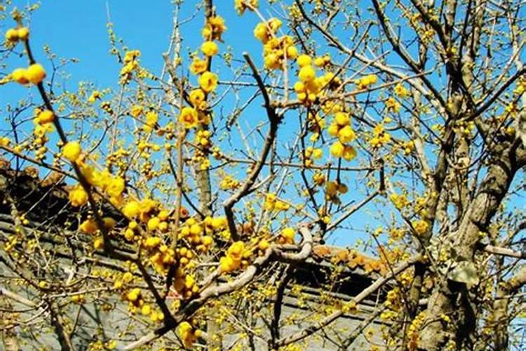 氯化钙除湿剂的使用方法是什么？