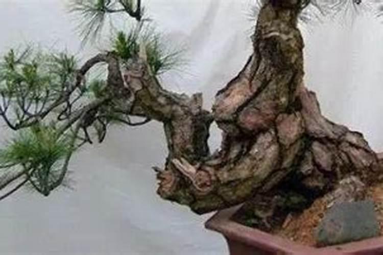 春秋什么季节施肥