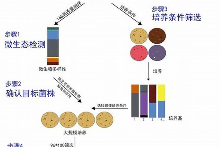 玉树怎么施肥枝干粗壮木质化