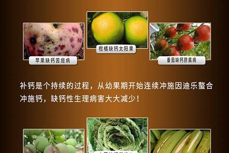 鱼蛋白肥料的功能和效果