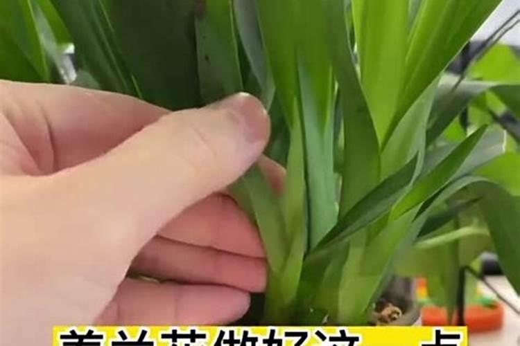 烧根了怎么挽救