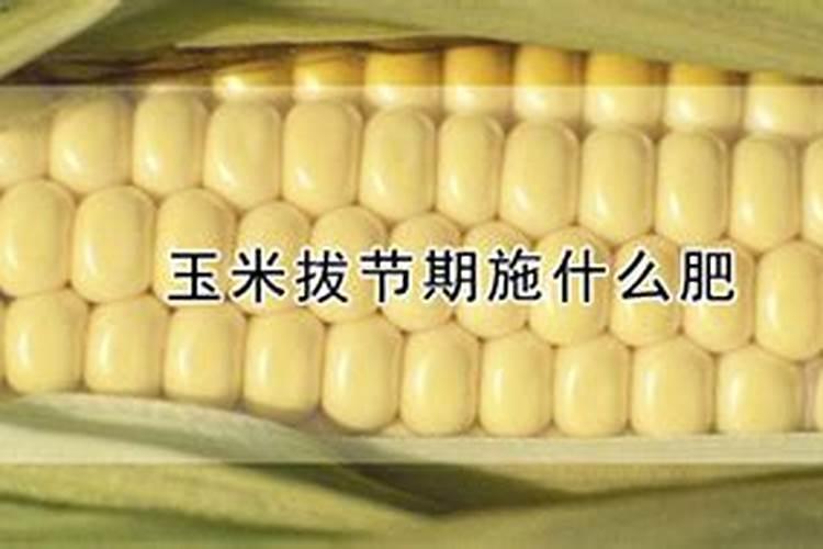 玉米喷什么叶面肥效果最好？