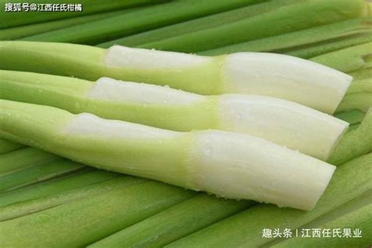 硝态氮是氮肥吗 适用于哪些农作物