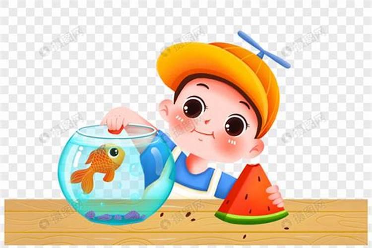 什么是鱼蛋白肥料,鱼蛋白肥料作用及使用方法