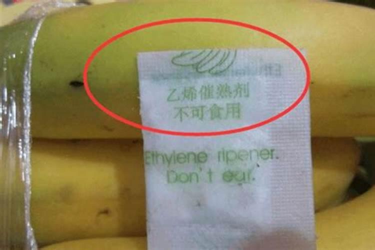 广东美女养的龟背竹结果了,香甜软糯,网友炸了:这玩意能吃？