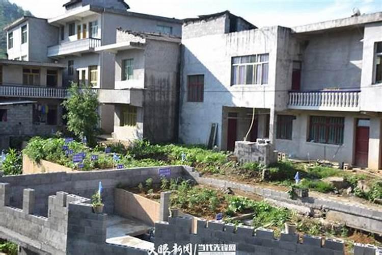 白芨施什么肥最好