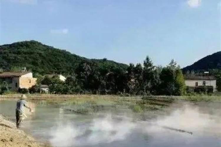 生石灰清塘后多长时间肥水