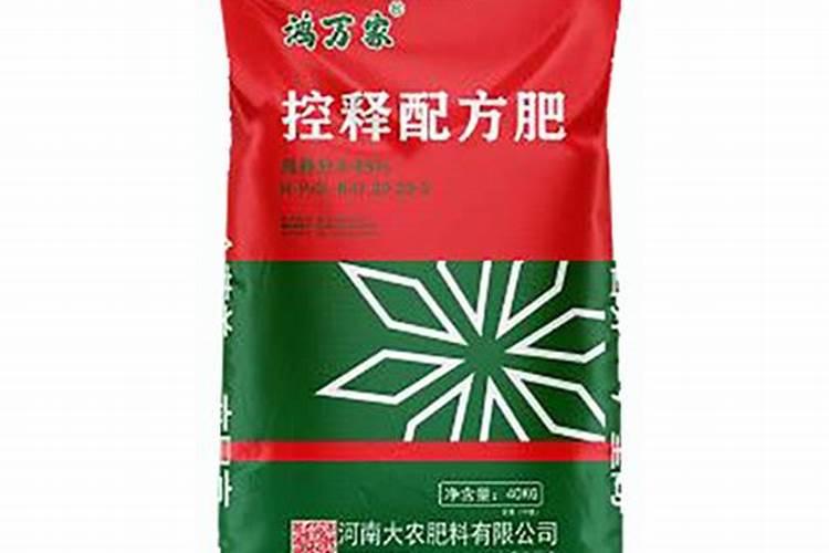 韭菜苗怎样种植？韭菜苗的种植方法和时间