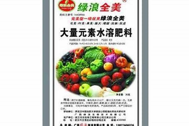 玉米控旺用什么药最好