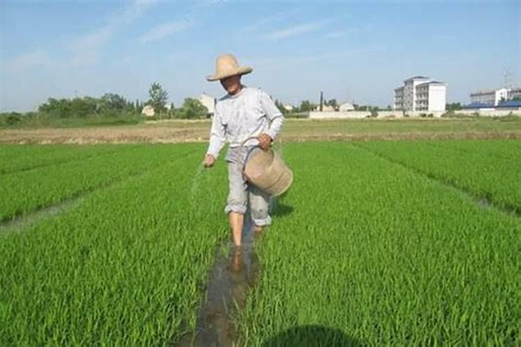 如果过量使用磷酸二氢钾,会对土壤造成什么影响？