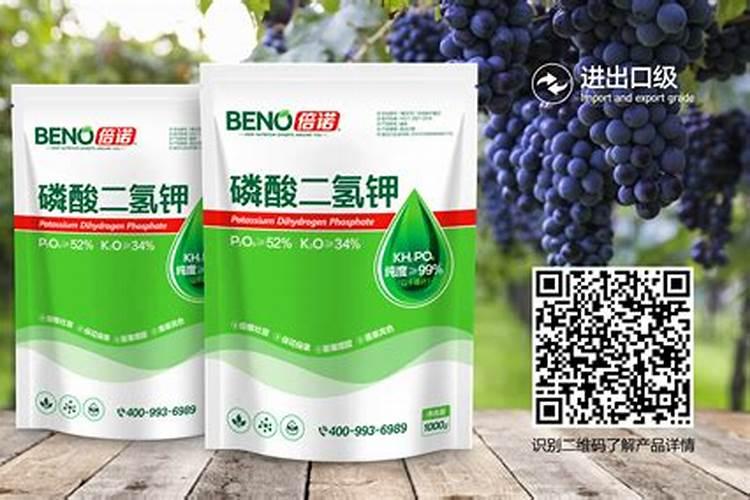 花生喷施硼肥最佳时间 使用注意事项有哪些