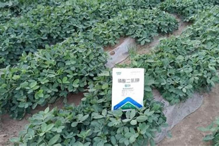 有机铜不能和哪些混用,和无机铜有什么区别