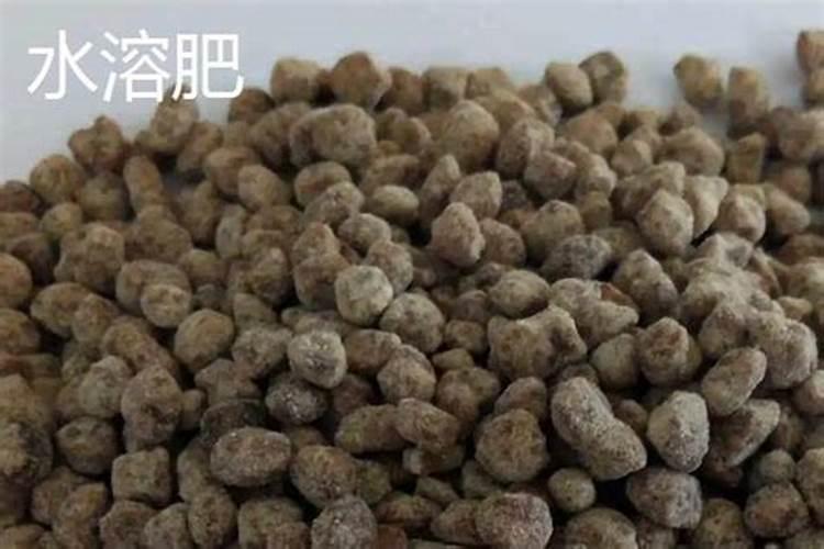 芭田果嘉101030化肥怎么不化呀