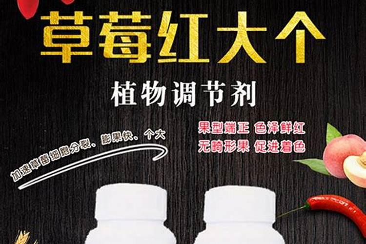 想要让草莓上色快,甜度高,平时都该怎么管理？