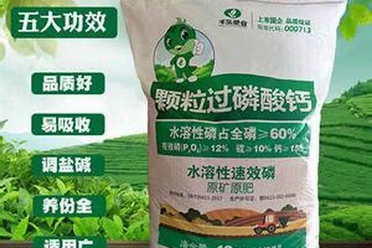 杀菌剂属于农药吗
